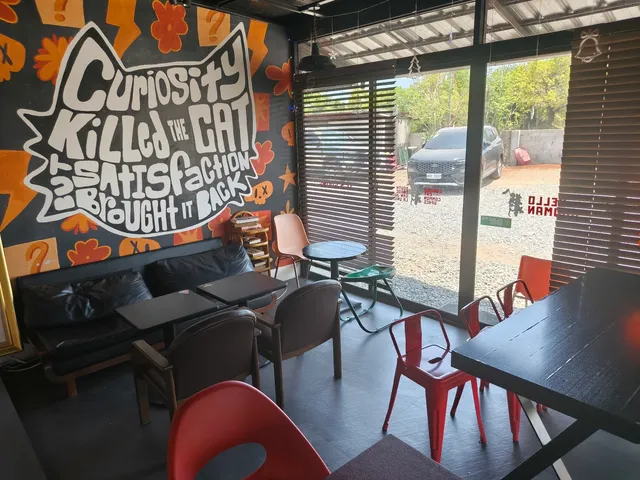 Curious Cat Common Space in La Union